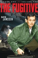 Watch The Fugitive 1channel